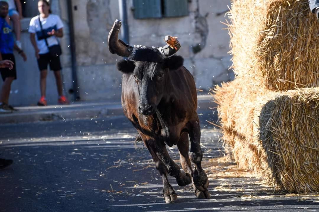 Location Gite En Provence Бокер Екстериор снимка