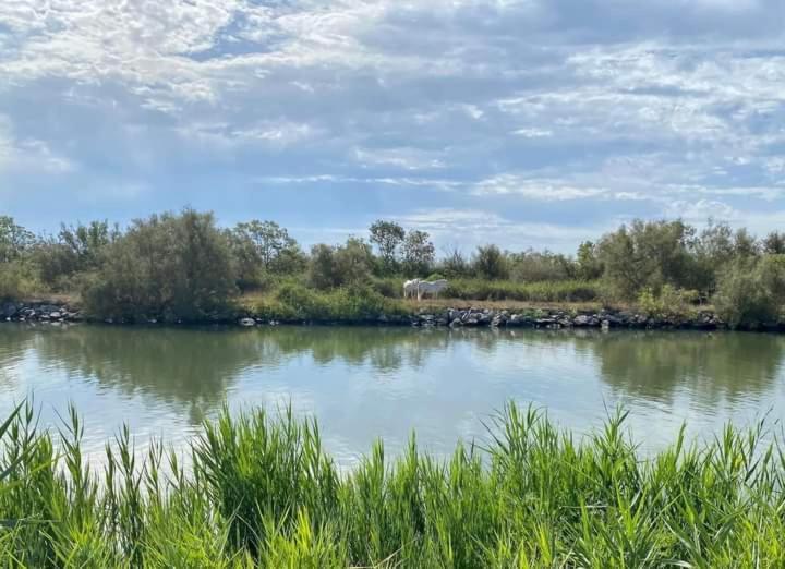 Location Gite En Provence Бокер Екстериор снимка