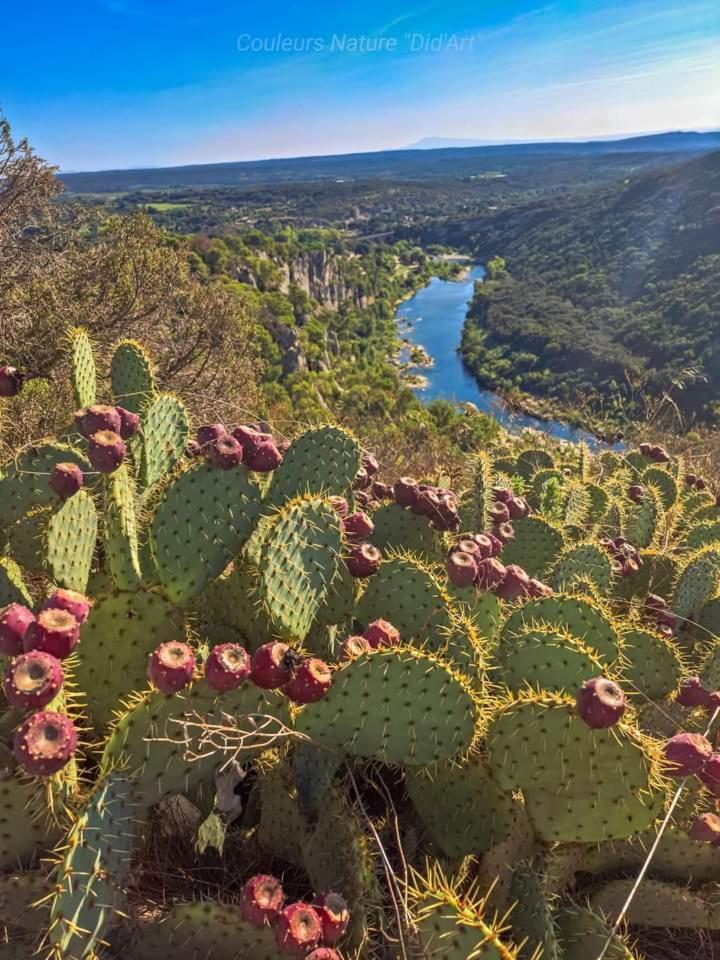 Location Gite En Provence Бокер Екстериор снимка